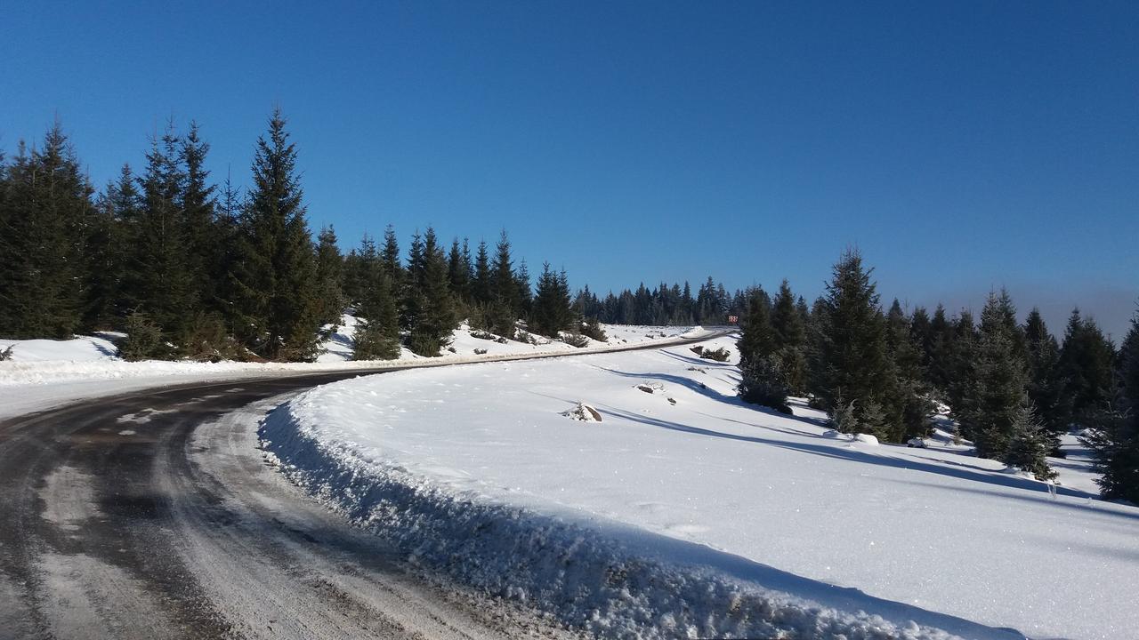 Mofetta Panzio Bed and Breakfast Sintimbru-Bai Exteriör bild